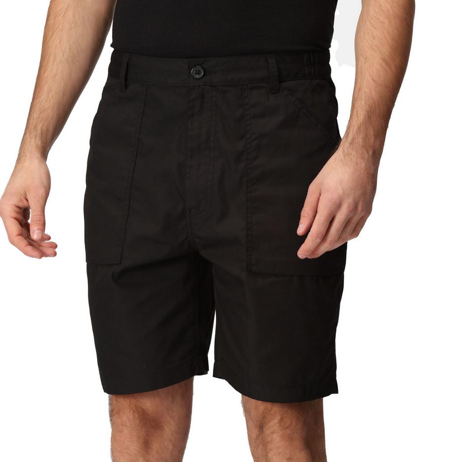 Regatta  Shorts 
