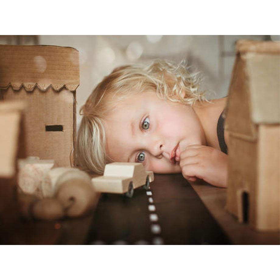 Waytoplay  back and forth car 