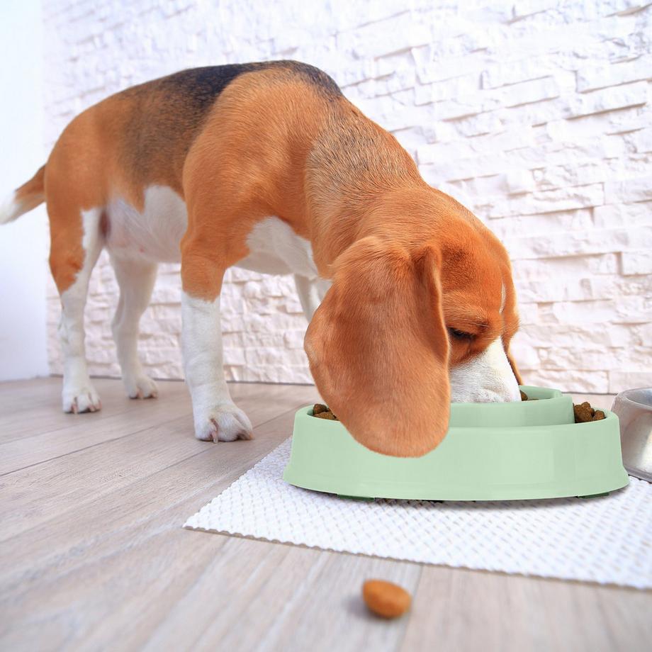 B2X  Anti-Schleuder-Schüssel 600 ml 