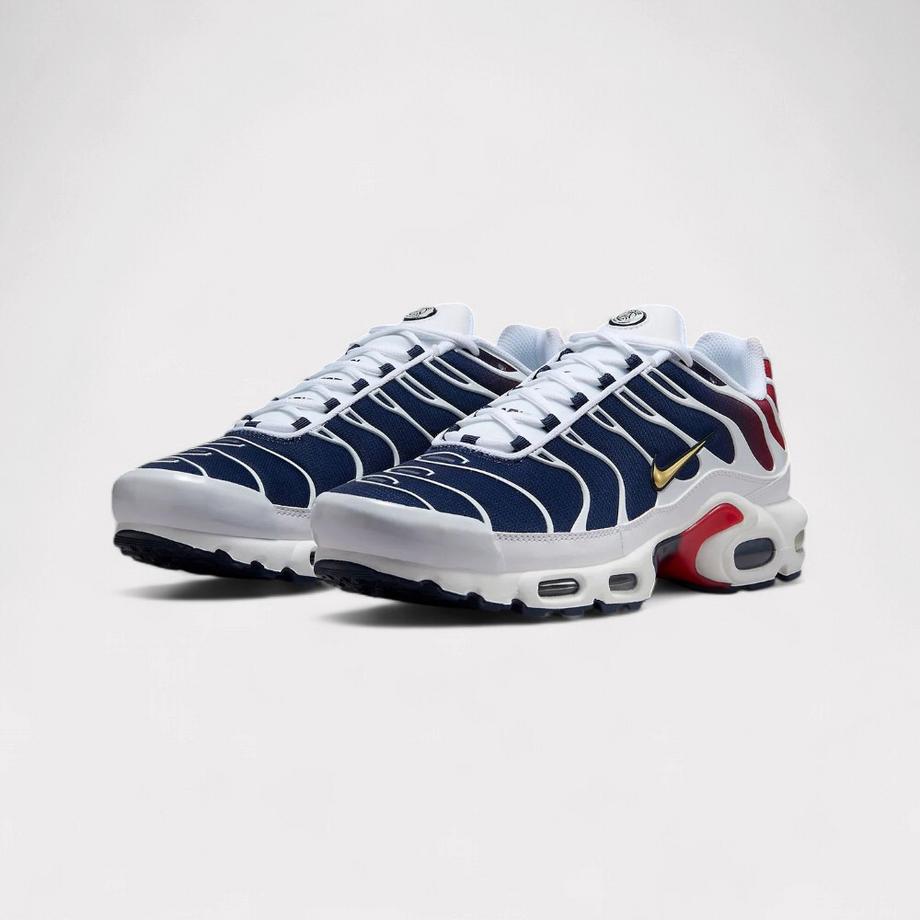 NIKE Air Max Plus Sneaker  
