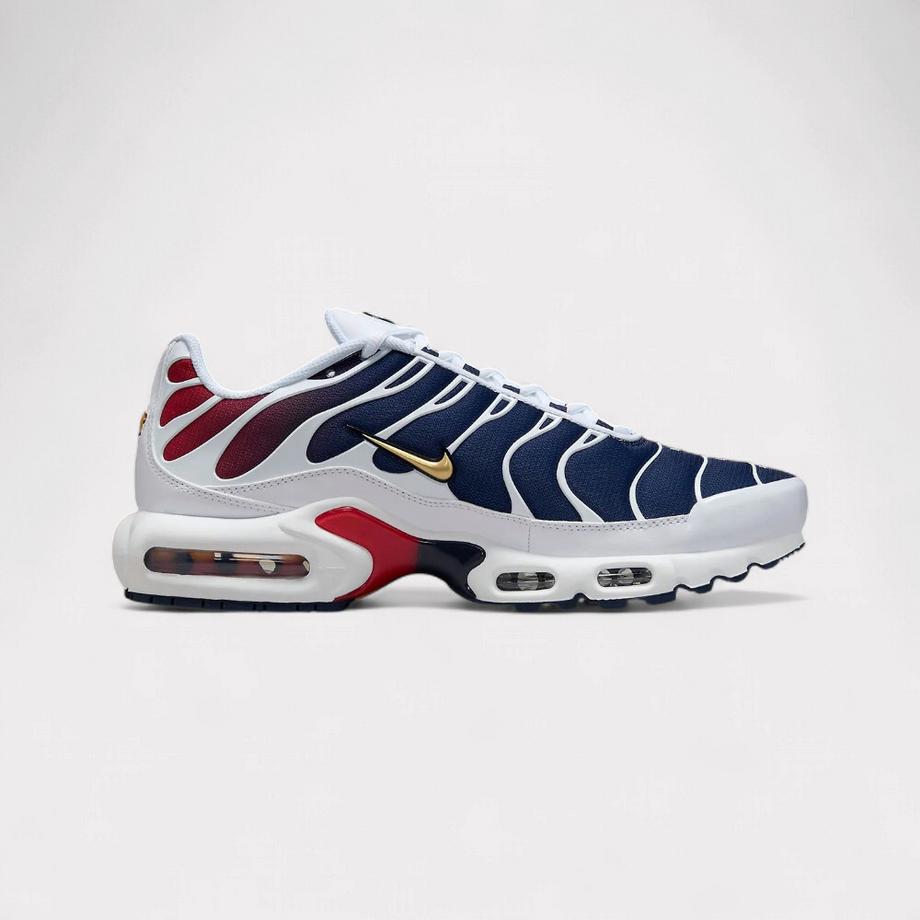 NIKE Air Max Plus Sneaker  