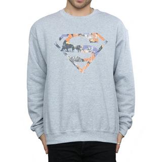 DC COMICS Superman Floral Logo Sweatshirt  