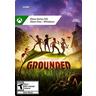 Microsoft  Grounded Standard 
