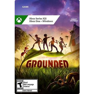 Microsoft  Grounded Standard 