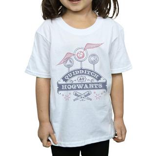 Harry Potter  Quidditch At Hogwarts TShirt 