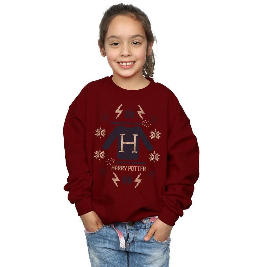 Harry Potter  Sweatshirt 