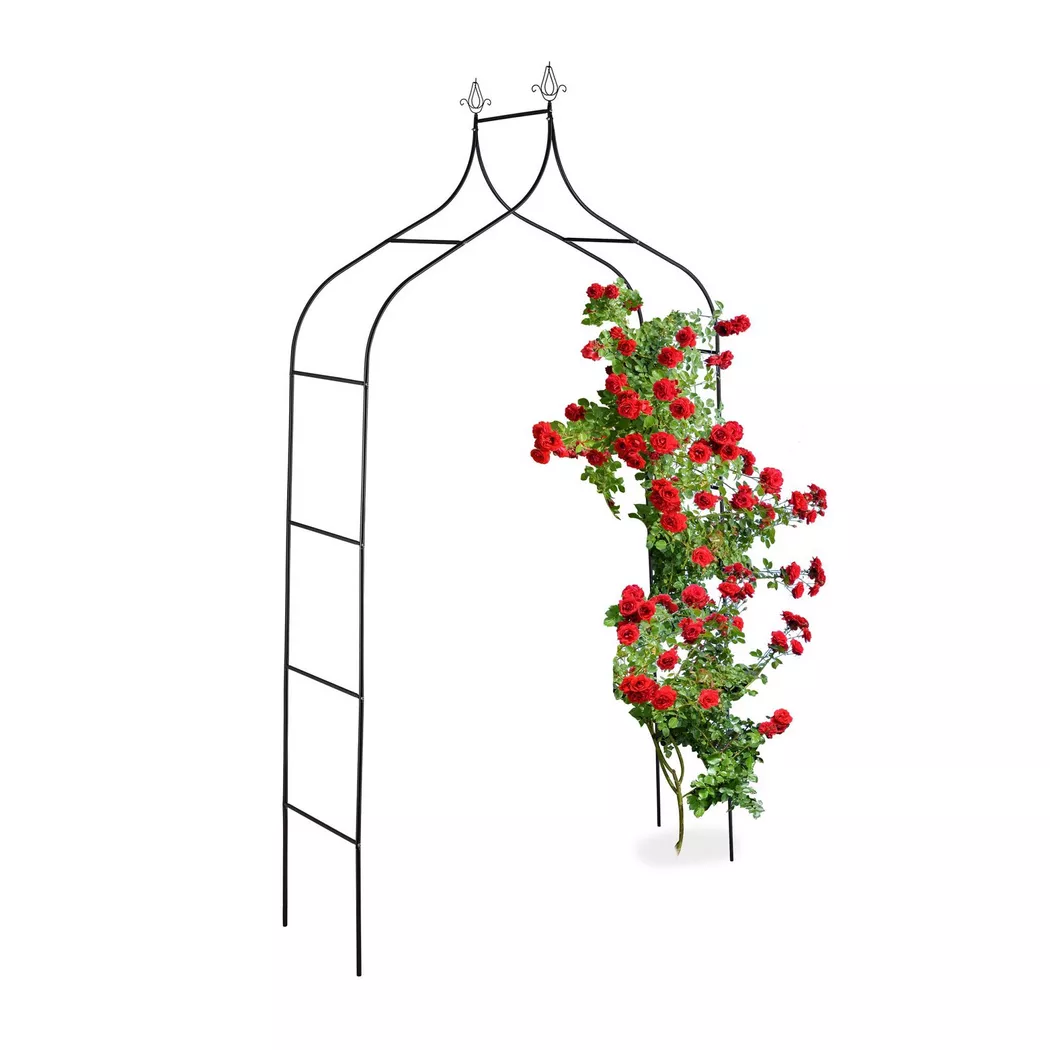 B2X - Rosenbogen 260 cm hoch, One Size