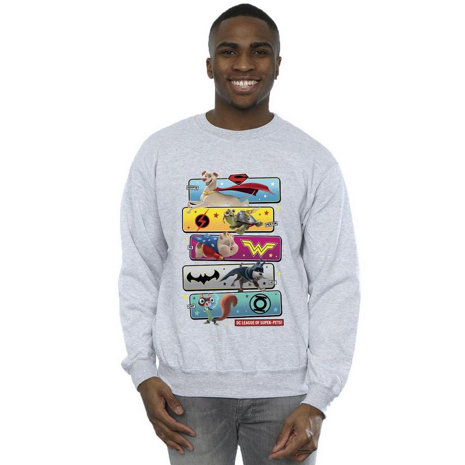 DC COMICS DC League Of Super-Pets Grafik Sweatshirt  