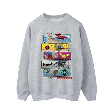 DC League Of SuperPets Sweatshirt