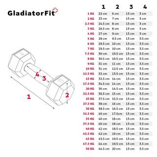 GladiatorFit  Haltère hexagonal "Hex Dumbbell" en caoutchouc GladiatorFit 