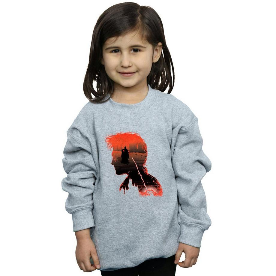 Harry Potter  Sweatshirt 