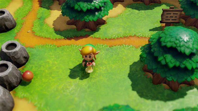 Nintendo  The Legend of Zelda: Links Awakening 