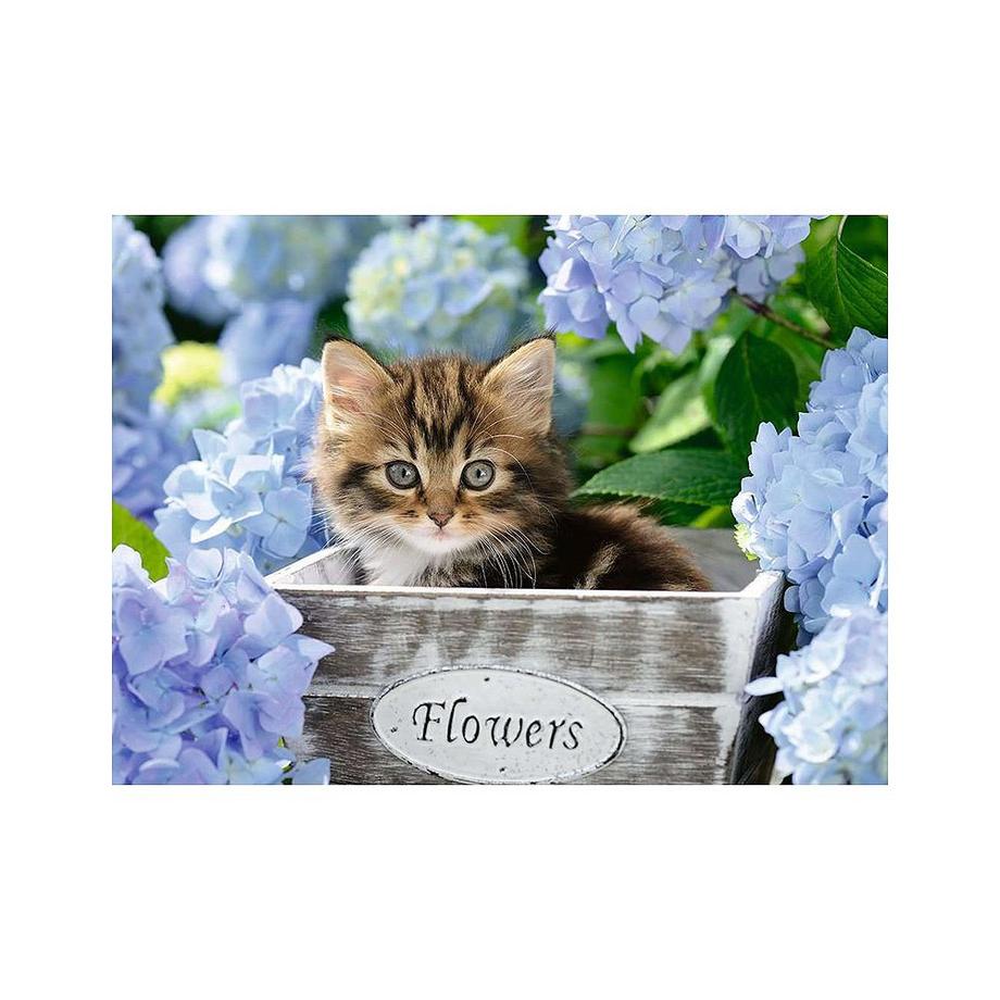 Ravensburger  Puzzle Kleine Katze (300Teile) 