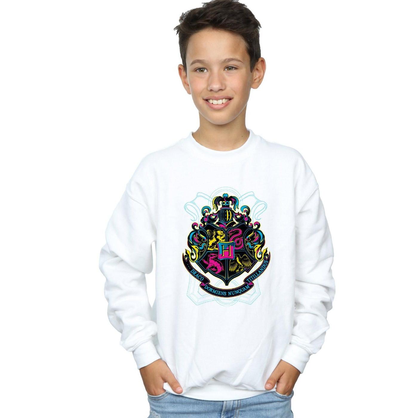 Harry Potter  Hogwarts Sweatshirt 