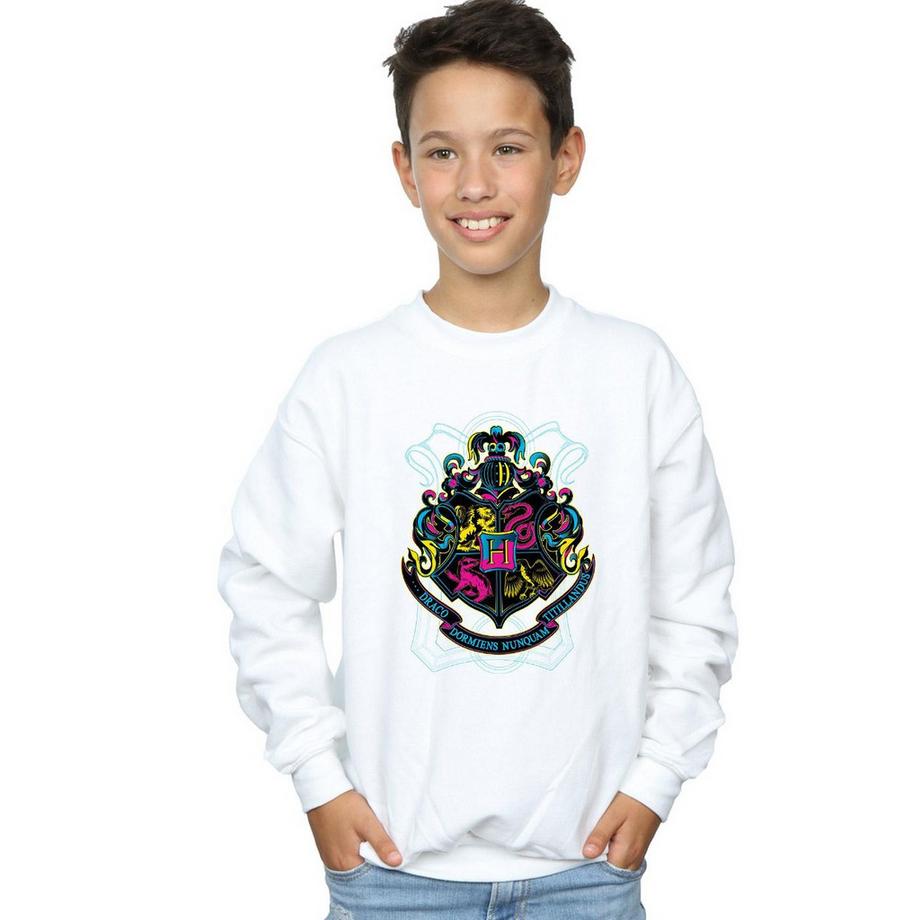 Harry Potter  Hogwarts Sweatshirt 