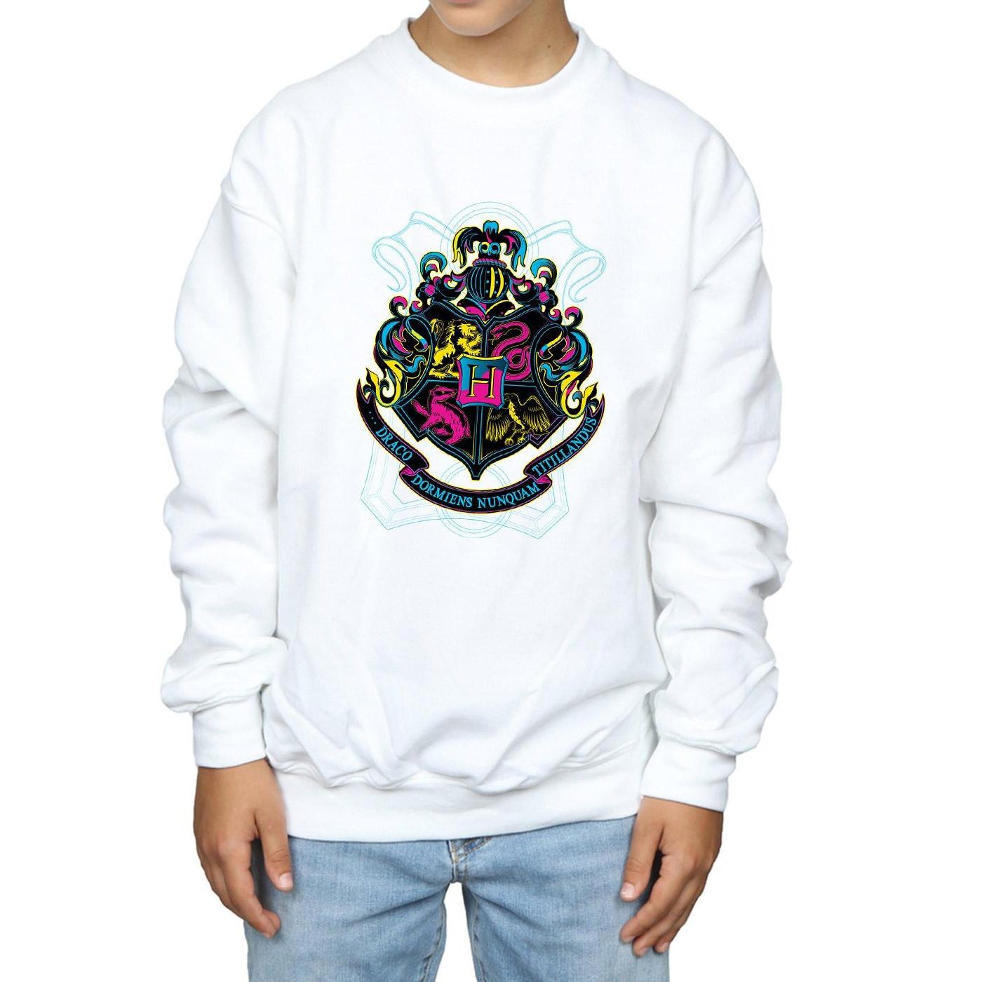 Harry Potter  Hogwarts Sweatshirt 