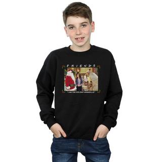 Friends  I Am The Holiday Armadillo Sweatshirt 