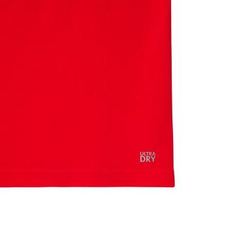 LACOSTE Daniil Medvedev Tennis Poloshirt  