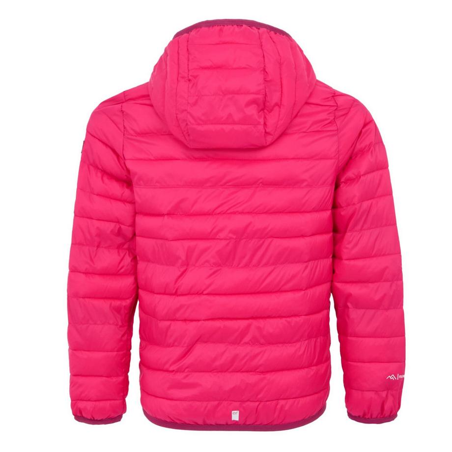 Regatta  Veste À Capuche Hillpack 