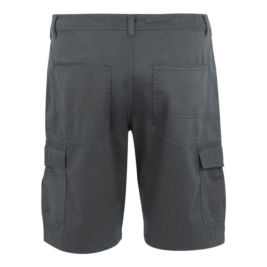 Regatta Ruwan Cargo Shorts  