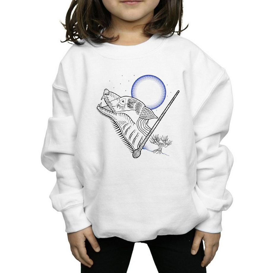 Harry Potter  Sweatshirt 