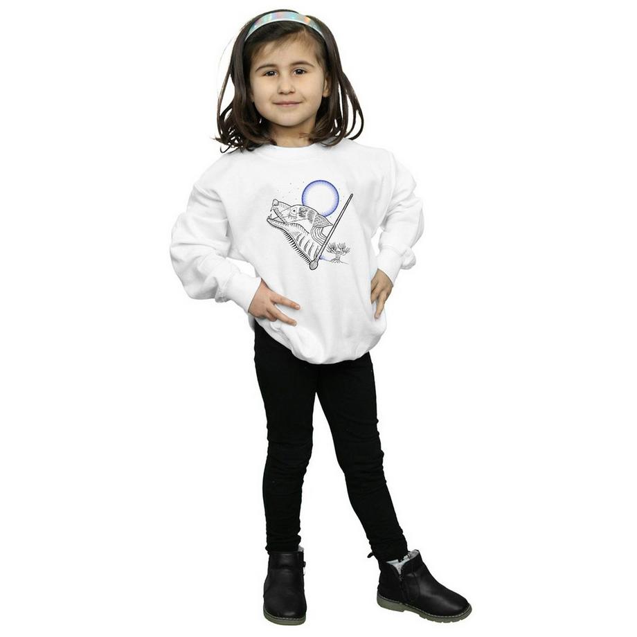 Harry Potter  Sweatshirt 