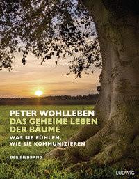 Das geheime Leben der Bäume Wohlleben, Peter Couverture rigide 