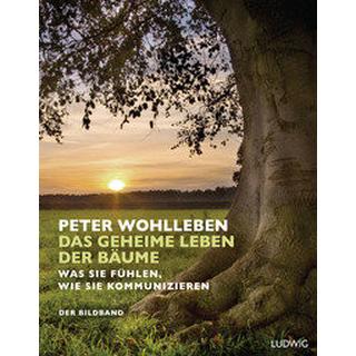 Das geheime Leben der Bäume Wohlleben, Peter Couverture rigide 