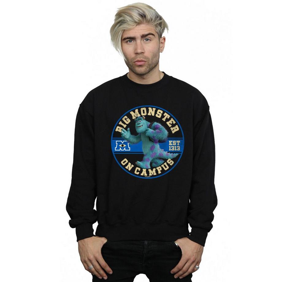 Disney Monsters University Monster On Campus Sweatshirt  