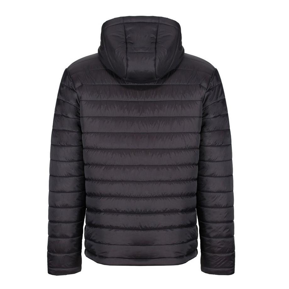 Regatta Veste Thermogen P'cell Warmloft  