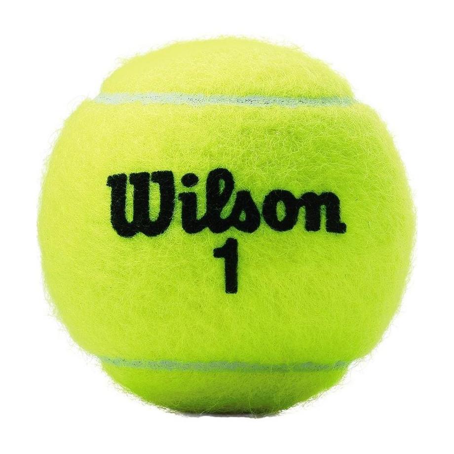 Wilson  balle de tennis Champ 