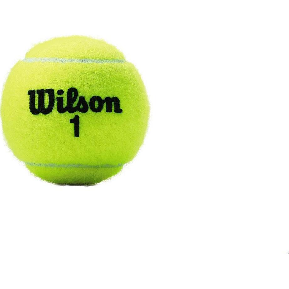 Wilson  balle de tennis Champ 