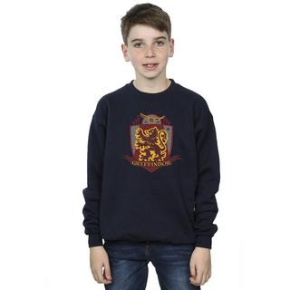 Harry Potter  Gryffindor Sweatshirt 