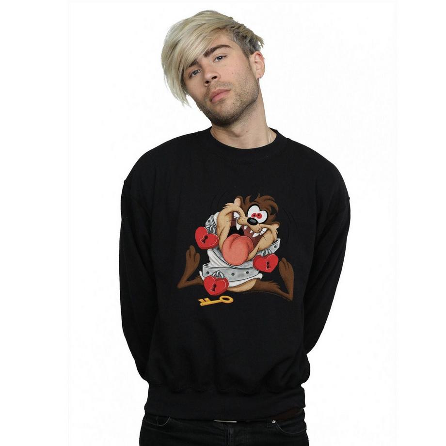 LOONEY TUNES Valentine's Day Madly In Love Sweatshirt  