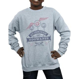 Harry Potter  Quidditch At Hogwarts Sweatshirt 
