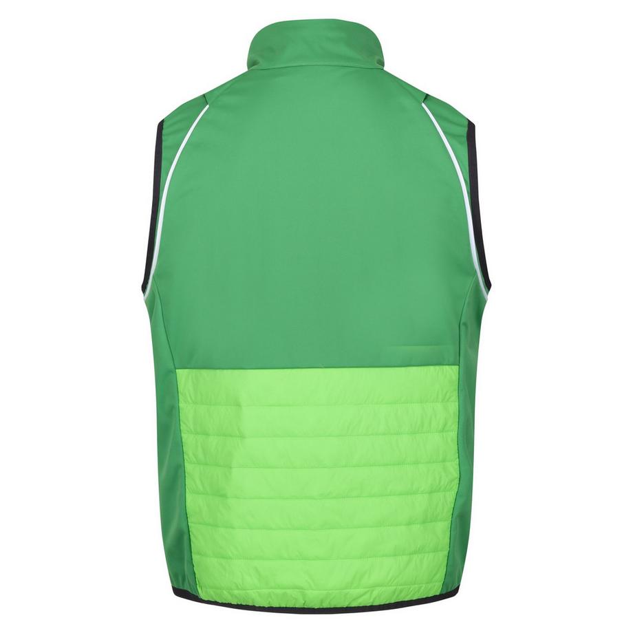 Regatta Giacca softshell Steren Hybrid  