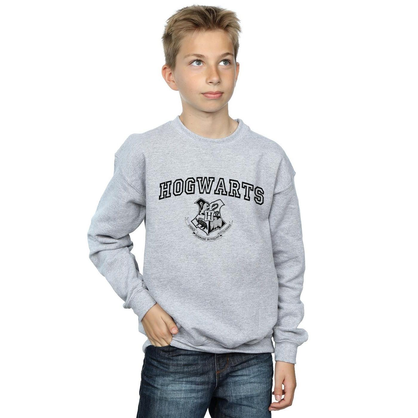 Harry Potter  Hogwarts Sweatshirt 