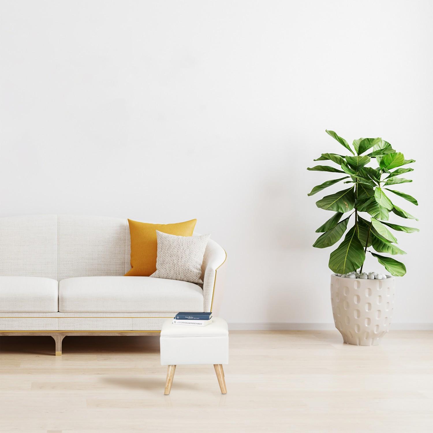 Northio Palette mit Lagerraum  