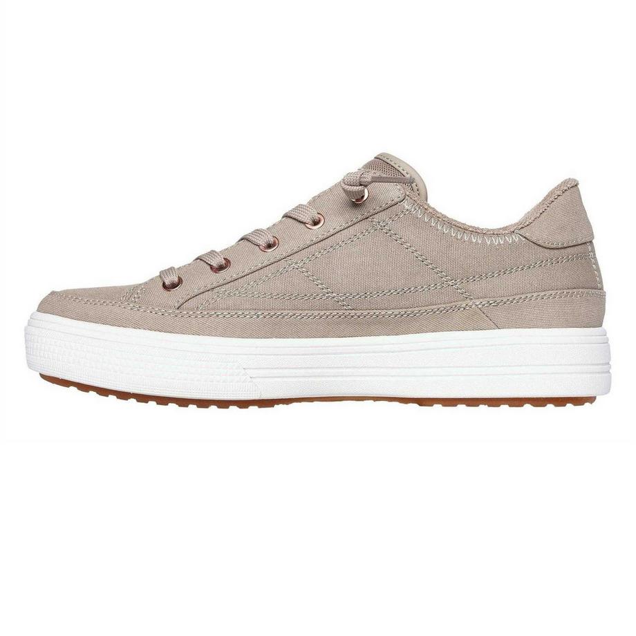 SKECHERS Meet Ya There Canvas Sneaker  