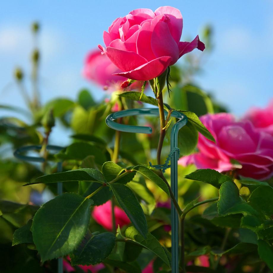 Northix  Pflanzenstützen aus Metall, 6er-Pack 