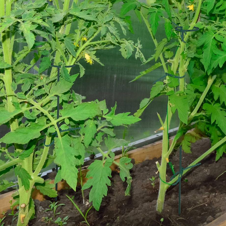 Northix  Pflanzenstützen aus Metall, 6er-Pack 