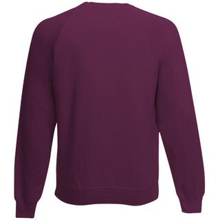 Fruit of the Loom  Pullover für Kinder (2 Stück/Packung) 