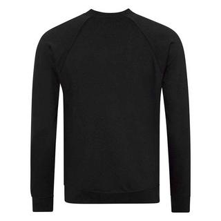 AWDis  Academy Sweatshirt  Raglanärmel 