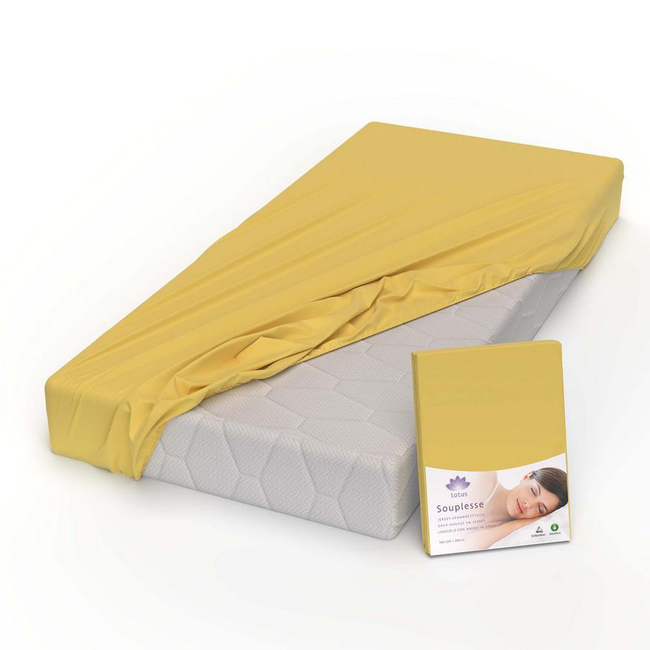 Lotus Jersey Fixleintuch Souplesse