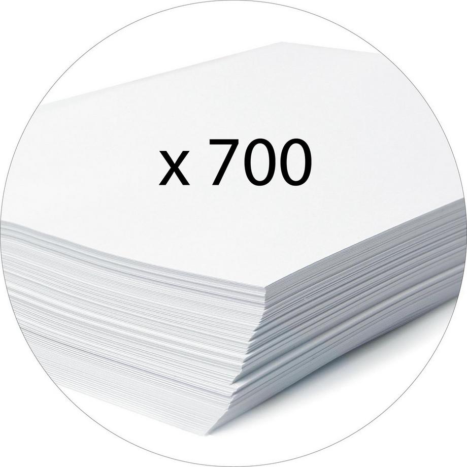 Exacompta Archivbox aus Colorspan-Karton 600g, Rückenbreite 80mm mit Etikett, 25x33cm für DIN A4 - x 6  