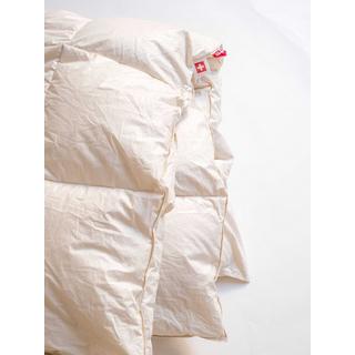 Zizzz Duvet d'oie coton bio 240x240 Nomite & Downpasss  