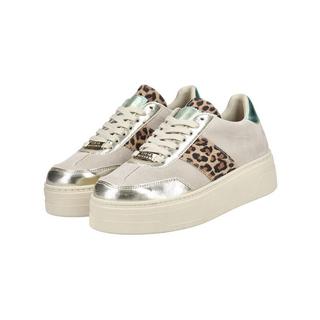 STEVE MADDEN  Sneaker SM11003414 