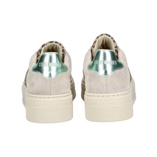 STEVE MADDEN  Sneaker SM11003414 