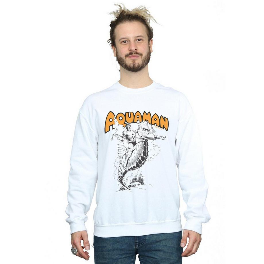 DC COMICS Aquaman Seepferdchen Sweatshirt  