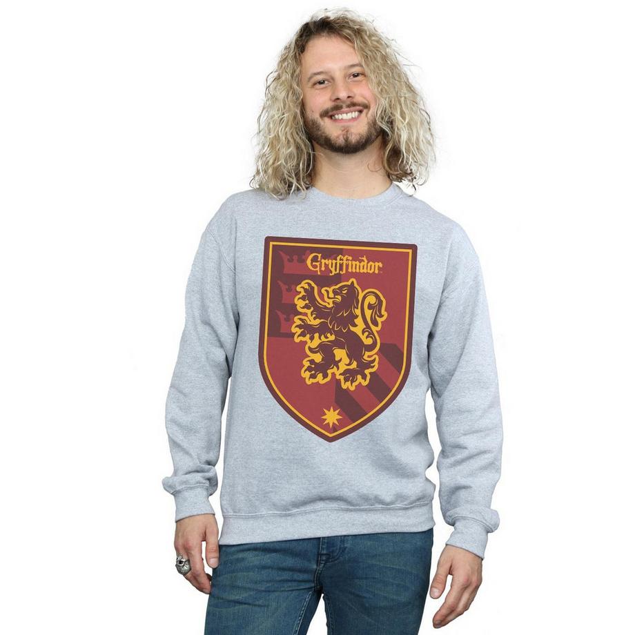 Harry Potter Gryffindor Felpa Stampata Regular Fit  